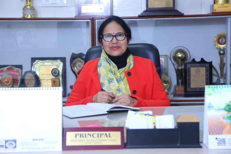 VMS, Bhiwani - Principal